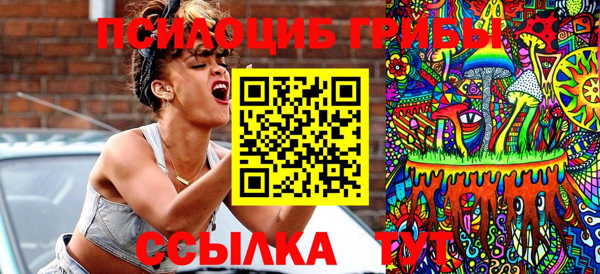 Галлюциногенные грибы Cubensis  Вход с VPN  Лесной 
